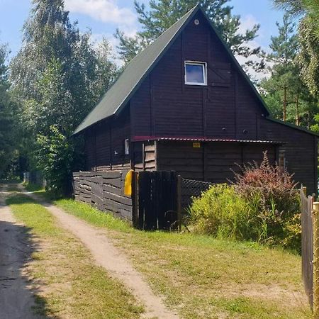 domki nad jeziorem do 10 osób jezioro Wilczyńskie Budzisławskie - domek letniskowy osobno ogrodzony, ogrzewany - wielkopolska Zygmuntowo  Zewnętrze zdjęcie