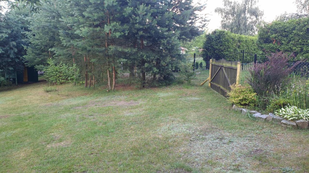 domki nad jeziorem do 10 osób jezioro Wilczyńskie Budzisławskie - domek letniskowy osobno ogrodzony, ogrzewany - wielkopolska Zygmuntowo  Zewnętrze zdjęcie