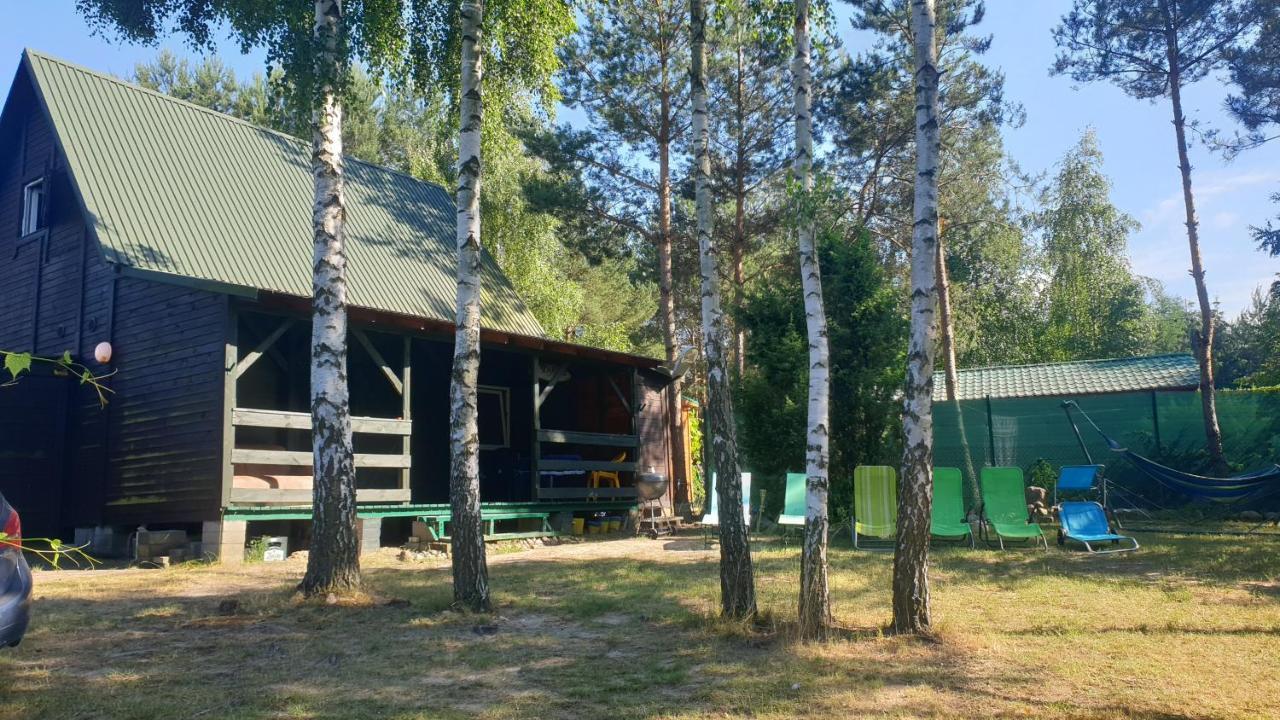 domki nad jeziorem do 10 osób jezioro Wilczyńskie Budzisławskie - domek letniskowy osobno ogrodzony, ogrzewany - wielkopolska Zygmuntowo  Zewnętrze zdjęcie