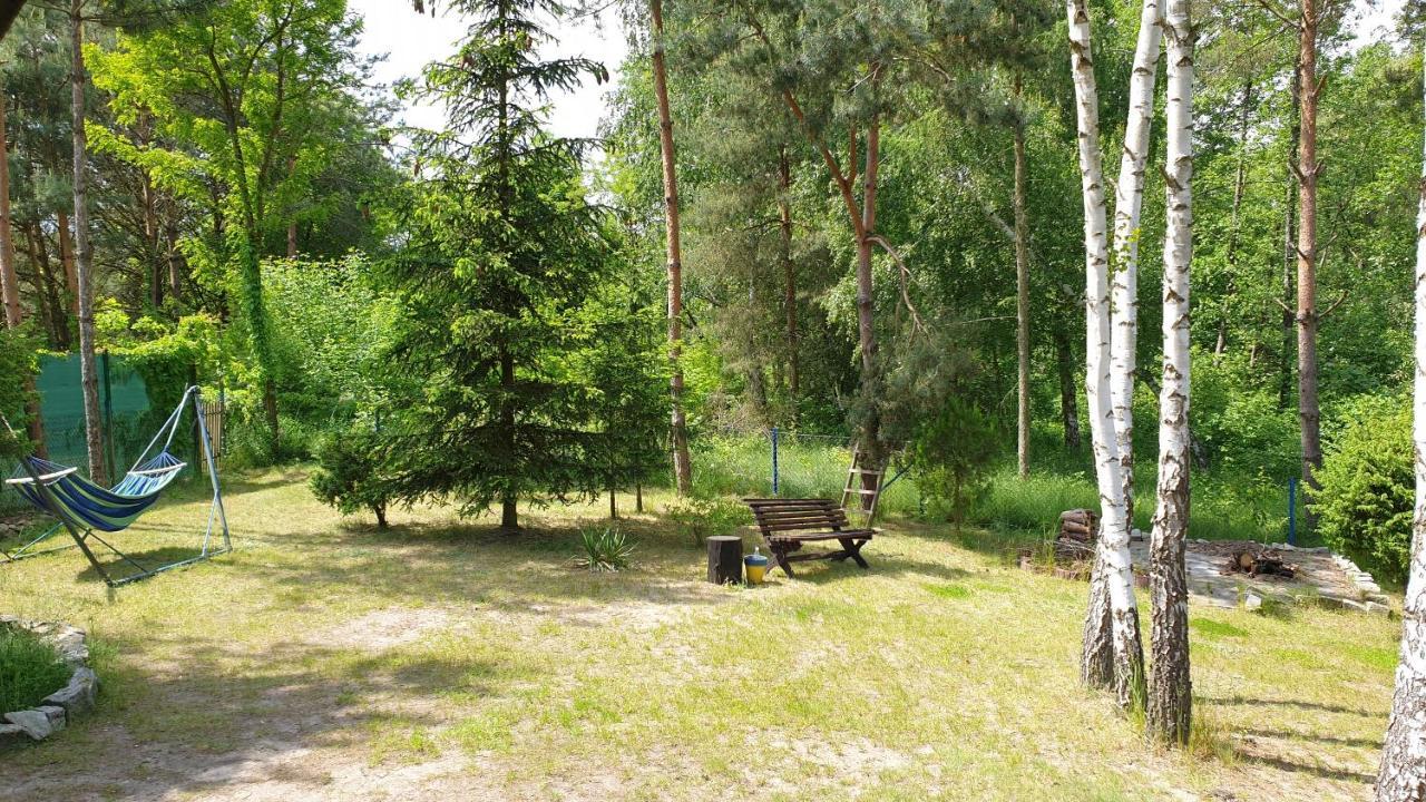 domki nad jeziorem do 10 osób jezioro Wilczyńskie Budzisławskie - domek letniskowy osobno ogrodzony, ogrzewany - wielkopolska Zygmuntowo  Zewnętrze zdjęcie