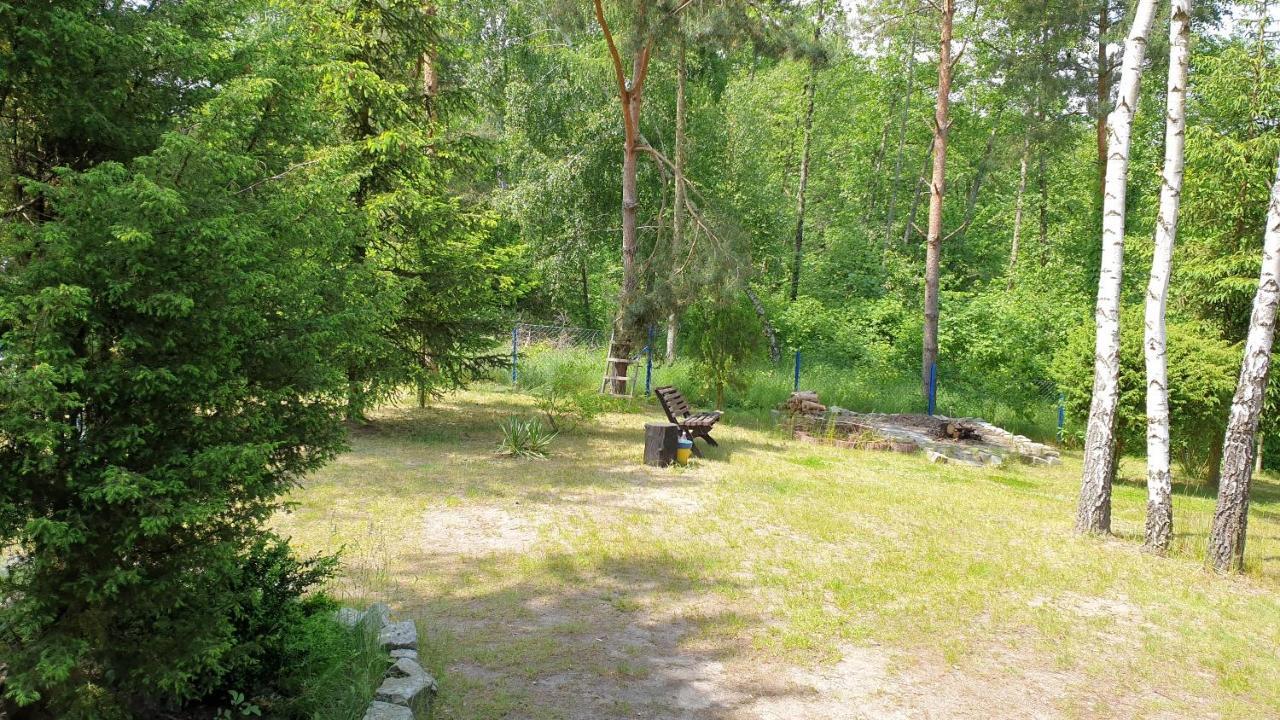 domki nad jeziorem do 10 osób jezioro Wilczyńskie Budzisławskie - domek letniskowy osobno ogrodzony, ogrzewany - wielkopolska Zygmuntowo  Zewnętrze zdjęcie